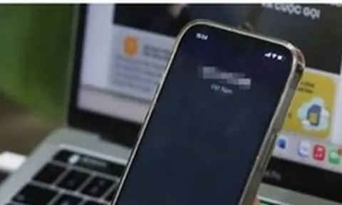 Mất 30 triệu đồng khi mua vé máy bay giá rẻ qua mạng