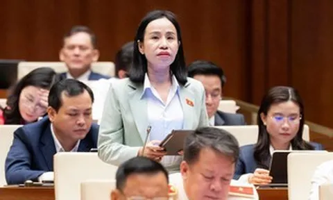 Đại biểu TPHCM nêu kiến nghị để 4 luật thuế thực sự là "phao cứu sinh" cho người dân, doanh nghiệp