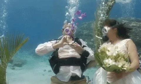 12 năm lặn biển cùng nhau, cặp đôi U60 làm đám cưới giữa lòng đại dương