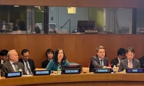 Việt Nam chủ trì tọa đàm về năng lượng hạt nhân tại Liên hợp quốc