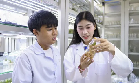 15 ngành học dự kiến được cấp học bổng 37-84 triệu đồng/năm