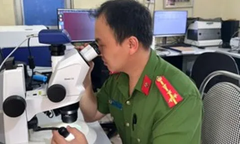 Cảnh báo mới liên quan đến giấy phép lái xe, biển số xe