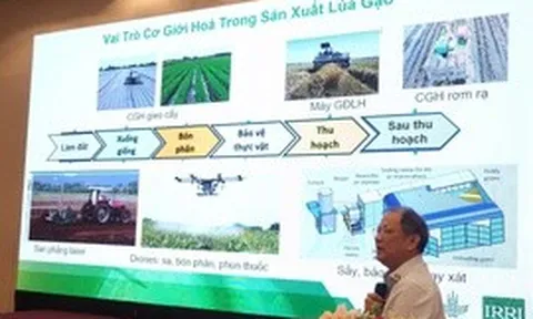 Chuyển đổi số mở đường cho cơ giới hóa thông minh ngành lúa gạo ĐBSCL