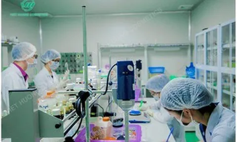 Mỹ phẩm Việt Hương vừa bị thu hồi 511 sản phẩm là công ty nào?