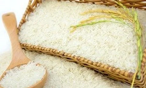 Nước mua gạo lớn nhất thế giới ra cảnh báo mới, tàu Việt vẫn dồn dập cập cảng