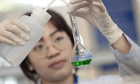 Học ngành gì để được miễn học phí trong năm 2026?