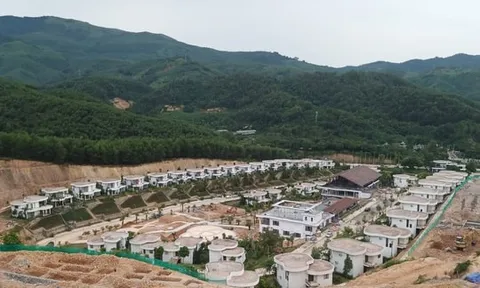 Khi năng lực vận hành và giá trị sử dụng “lên ngôi”