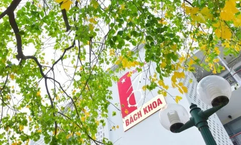 6 đại học Việt Nam vào xếp hạng thế giới của CWUR