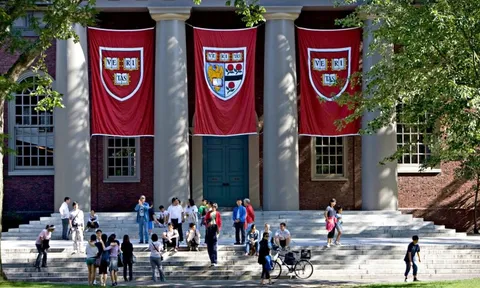 Harvard chao đảo