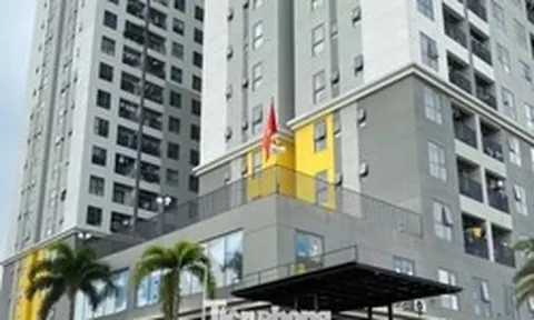 Hàng ngàn căn hộ chung cư, nhà liền kề được cấp sổ