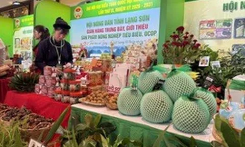Giảm chi phí thể chế, tăng sức cạnh tranh cho nông nghiệp Việt