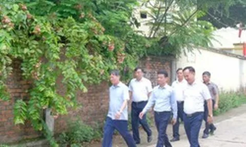 Hà Nội phấn đấu hoàn thành bàn giao đất nông, lâm trường về địa phương trong tháng 8-2026