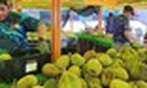 Quá nhiều sầu riêng, một đối thủ của Việt Nam tính mở tuyến đường bộ sang Trung Quốc để giảm chi phí, đang xuất khẩu 40 tấn mỗi ngày bằng máy bay