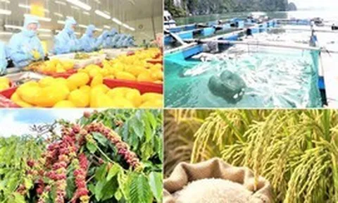 Giảm phát thải: 'Giấy thông hành' cho nông sản xuất khẩu