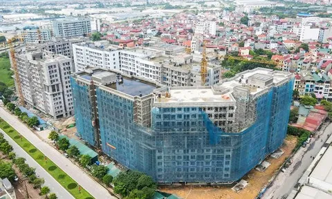 Tạo nền móng cho tăng trưởng bền vững