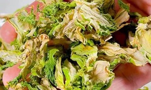Mỹ đánh giá rau "tốt bậc nhất thế giới", người Việt ăn thường xuyên mà không hay