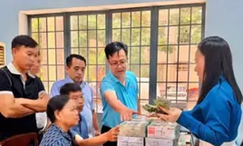 Một hộ dân được bồi thường 170 tỷ đồng khi TPHCM thực hiện dự án đường Vành đai 4
