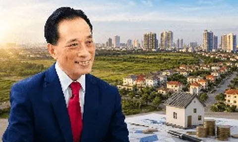 “Việt Nam cần đánh thuế cao với nhà, đất không sử dụng”