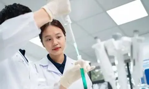 'Chốt' mức lương 300 triệu đồng/tháng với Tổng công trình sư