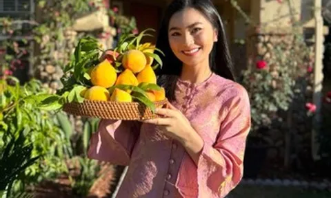 Nhà vườn càng ngắm càng mê của diễn viên Diệu Hương 'Hoa hồng trên ngực trái'