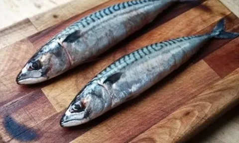 Loại cá "tốt nhất thế giới" ở Việt Nam đang vào mùa, thịt chắc, ít tanh, giàu omega-3 hơn cá hồi giúp bé thông minh