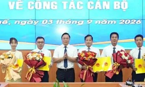 Điều động, bổ nhiệm nhân sự mới ở 4 tỉnh, thành