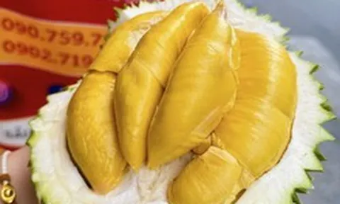 Vì sao sầu riêng tiền triệu luôn hút khách?