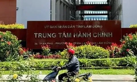 Sai sót thực hiện Nghị định 178: Lâm Đồng chỉ rõ trách nhiệm 3 nguyên lãnh đạo