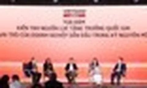 Phó Chủ tịch HĐQT Vietjet: Mỗi năm một hãng hàng không chi 200 - 300 triệu USD ra nước ngoài, tại sao không giữ số ngoại tệ đó ở Việt Nam?