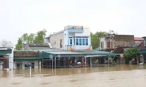 Lũ trên sông Hoàng Long đạt đỉnh, nhiều nhà dân Ninh Bình chìm trong biển nước