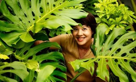 Cận cảnh khu vườn xóm núi chữa lành tâm hồn của MC Diễm Quỳnh VTV