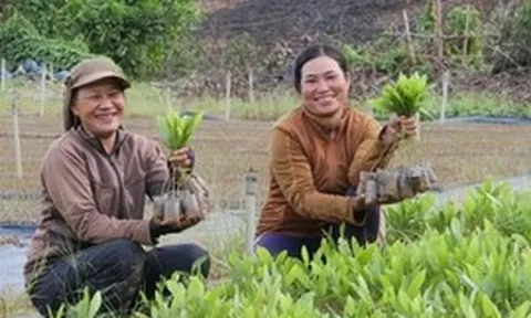 Khoa học công nghệ tạo động lực mới cho xuất khẩu nông sản