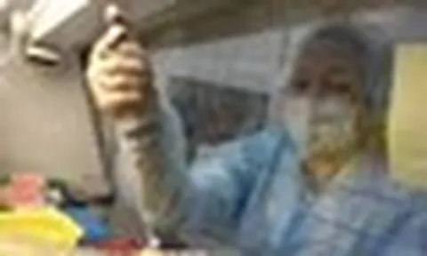 WHO lên tiếng trấn an sau ca tử vong nghi vì bệnh dịch hạch ở Nga