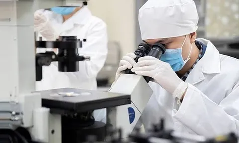 9 nhà khoa học Việt Nam lọt Top 10.000 người có ảnh hưởng nhất thế giới, một cái tên đặc biệt gây chú ý
