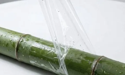 Phát minh của Trung Quốc làm rung chuyển ngành vật liệu: Trộn tre với nhựa, tạo ra loại composite bền hơn 81% và dai hơn 173%, chống được sóng điện từ