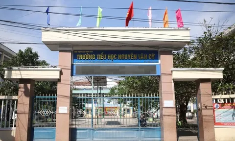 Gia Lai làm rõ việc 3 nguyên hiệu trưởng xuống làm giáo viên