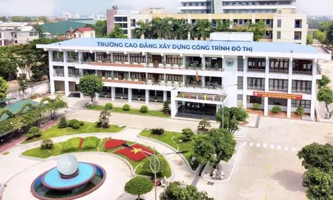 Bộ GD&ĐT sáp nhập, chuyển giao hàng loạt trường
