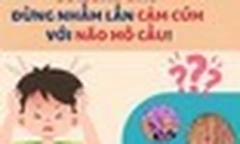 Cúm mùa và não mô cầu đều có thể gây sốt cao đột ngột: Bác sĩ Trương Hữu Khanh chỉ cách phân biệt 2 bệnh
