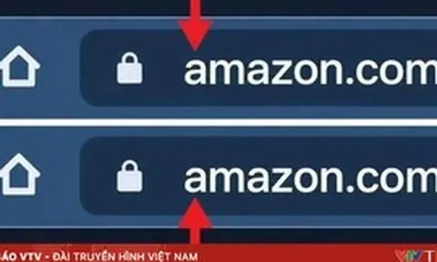 Cảnh báo thủ đoạn giả mạo tên miền website