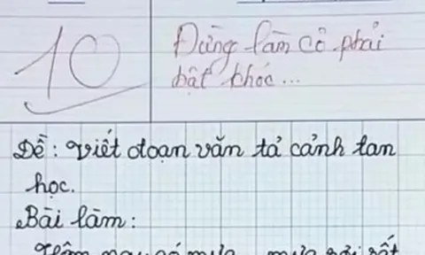 Viết văn tả cảnh tan học, bé tiểu học nhận điểm 10 tròn trĩnh, cô giáo lên tiếng: Đừng làm cô khóc