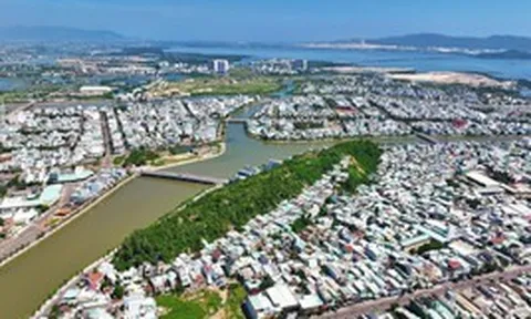 Vì sao ngọn núi giữa lòng Quy Nhơn đang gây 'bão' dư luận?