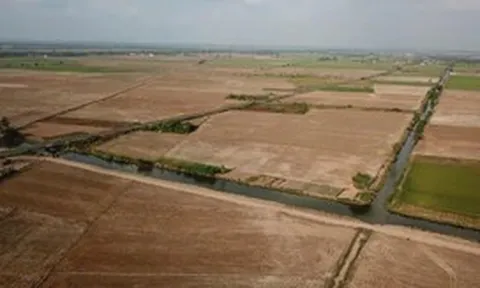 Xâm nhập mặn đến sớm, vào sâu 70-130km, làm gì để bảo vệ lúa và cây ăn trái ở miền Tây?
