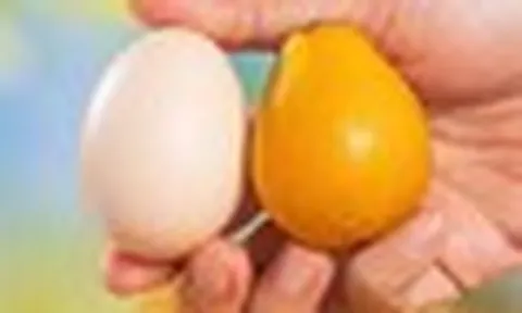 Đắt gấp 5 lần sầu riêng, láng giềng Việt Nam sở hữu báu vật nông sản được mệnh danh ‘Hermès trái cây’: Giá hơn 750.000 đồng/kg, trồng ít nhất 2 năm mới được thu hoạch