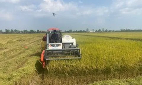 Láng giềng của Mỹ hỗ trợ Việt Nam phát triển "hạt ngọc", hơn 48.000 người sẽ được hưởng lợi trực tiếp