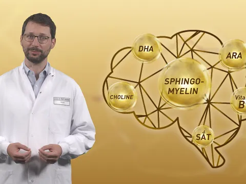 Nestlé chính thức giới thiệu sản phẩm dinh dưỡng khoa học S-26 Ultima 3 về tăng tốc độ kết nối não bộ