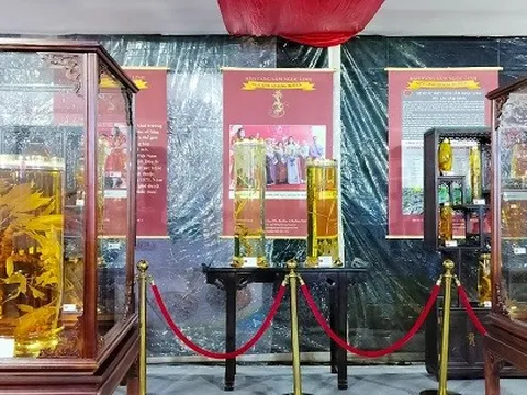 Quận Tân Phú kỷ niệm 20 năm thành lập và phát triển - Lễ kỷ niệm 50 năm phát hiện sâm Ngọc Linh