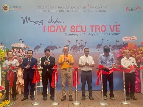 Sách ảnh Sếu đầu đỏ của nghệ sĩ nhiếp ảnh Nguyễn Trường Sinh xác lập kỷ lục Việt Nam