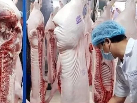 Bổ sung thịt heo vào danh mục các mặt hàng bình ổn giá trong trường hợp khẩn cấp