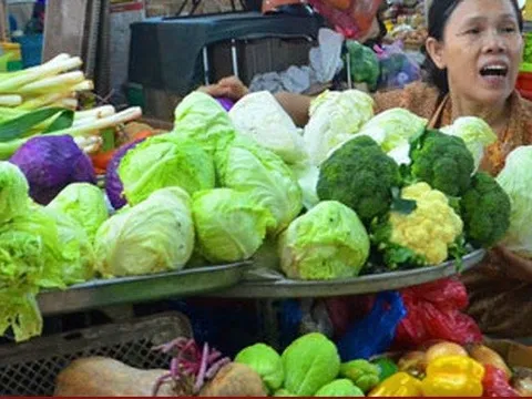 Giá rau Đà Lạt từ vườn ra chợ tăng đến 5 lần