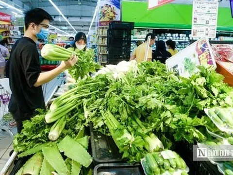Nghịch lý thực phẩm sạch: "Kẻ ăn không hết người lần chẳng ra"